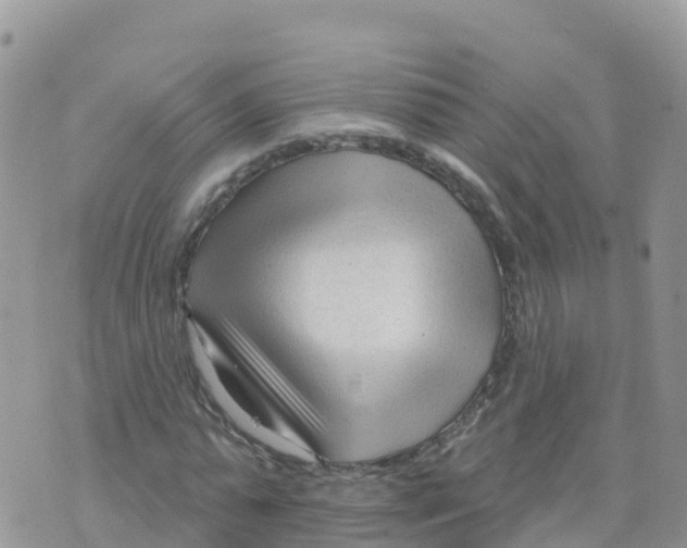X0000073760775200608311959