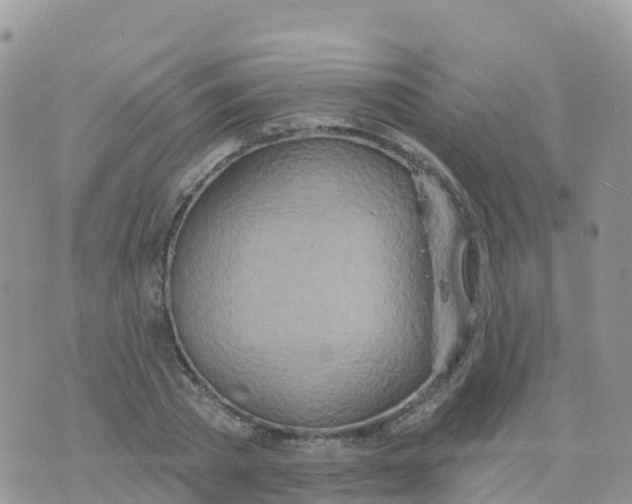 X0000073760785200608311959