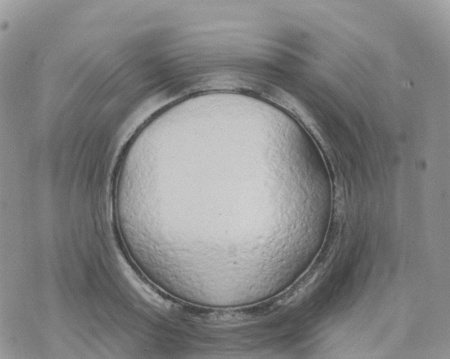 X0000073760795200608311959