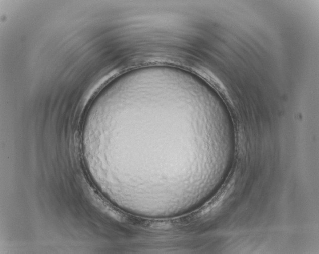 X0000073760798200608311959