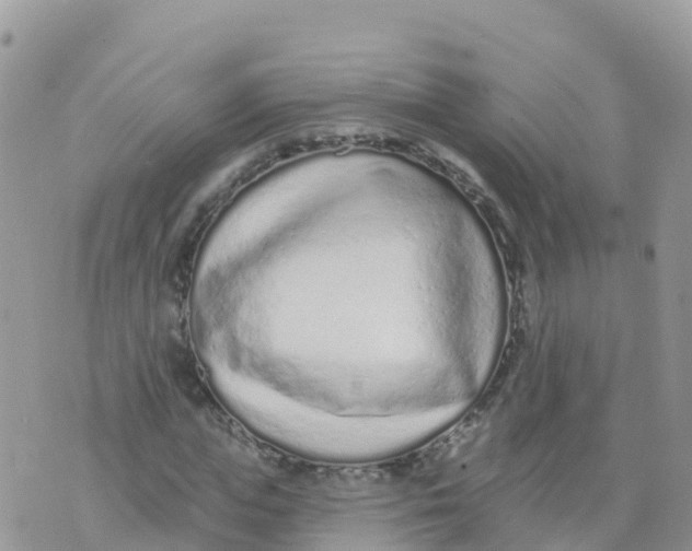 X0000073760823200608311958