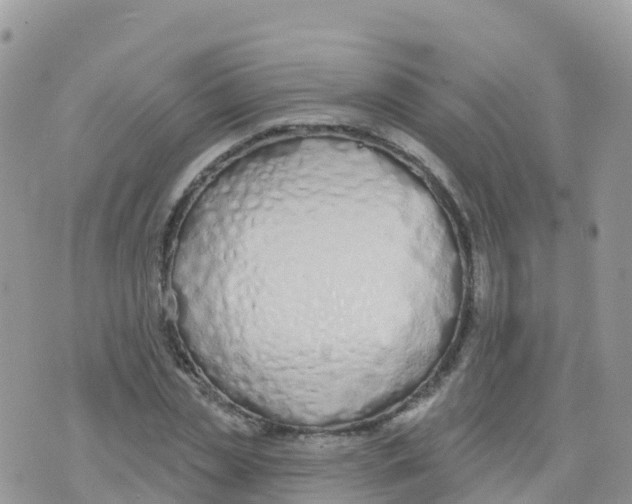 X0000073760829200608311958