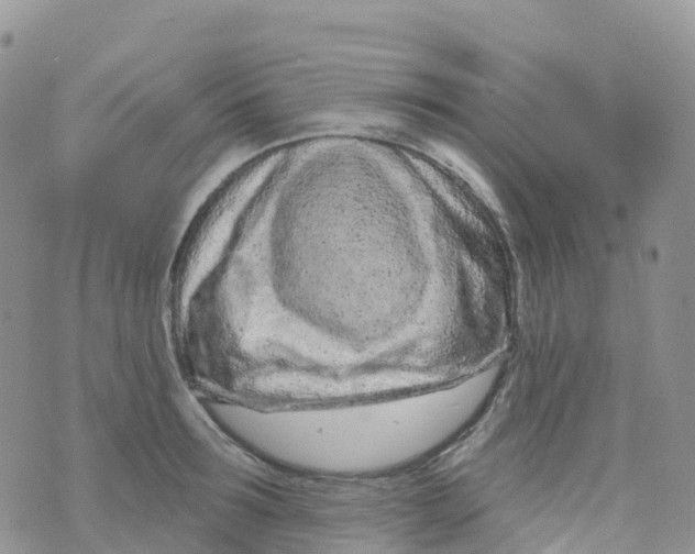 X0000073760899200608311957