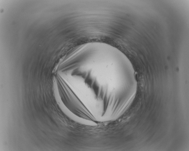 X0000073760916200608311956