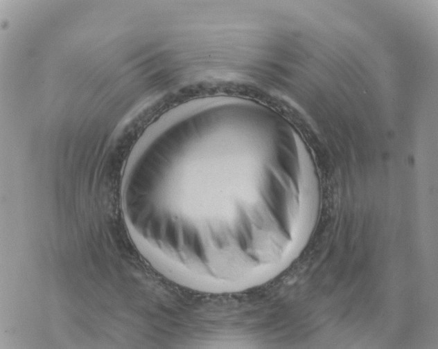 X0000073760919200608311956