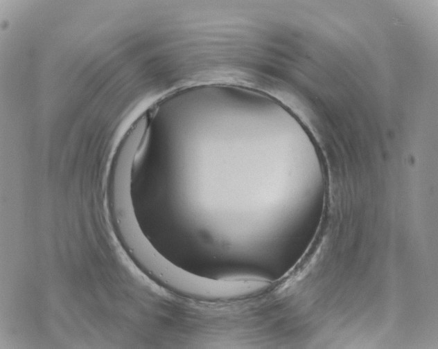 X0000073760949200608311957