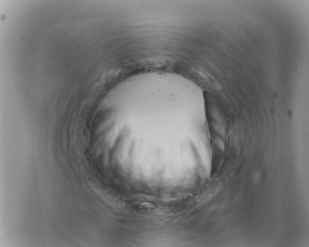 X0000073760961200608311956