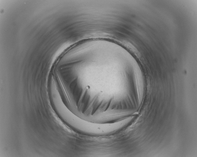 X0000073760990200608311956