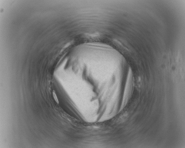X0000073761010200608311954