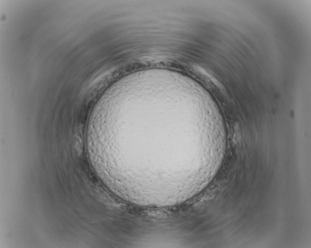 X0000073761015200608311955