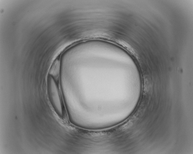 X0000073761031200608311955