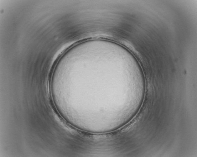 X0000073761032200608311955