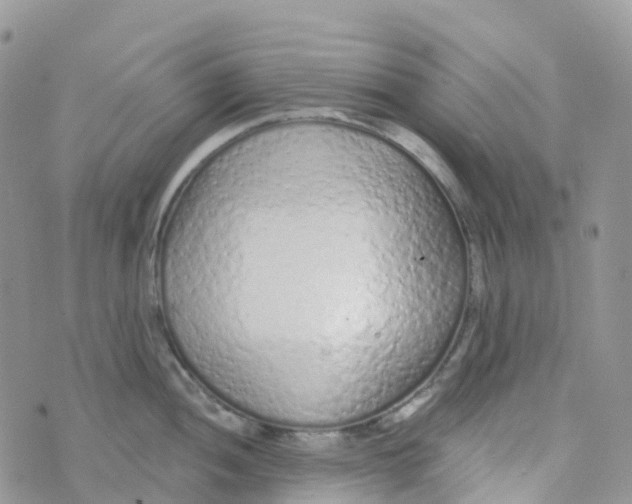 X0000073761052200608311955