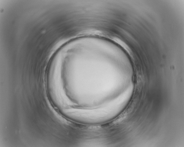 X0000073761055200608311955