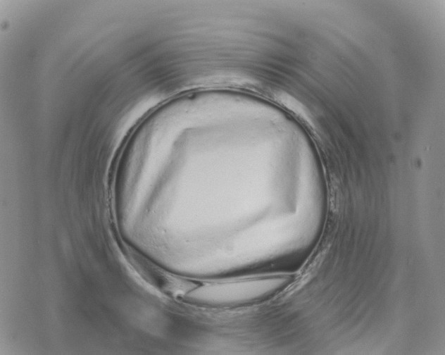 X0000073761087200608311954