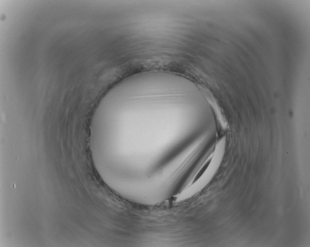 X0000073761153200608311953