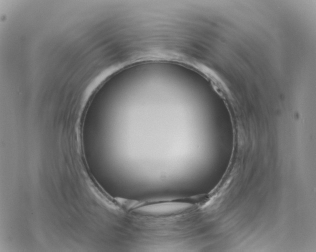 X0000073761238200608311952