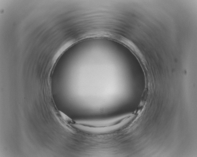 X0000073761242200608311952