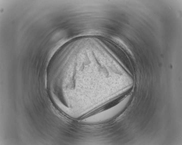 X0000073761276200608311951