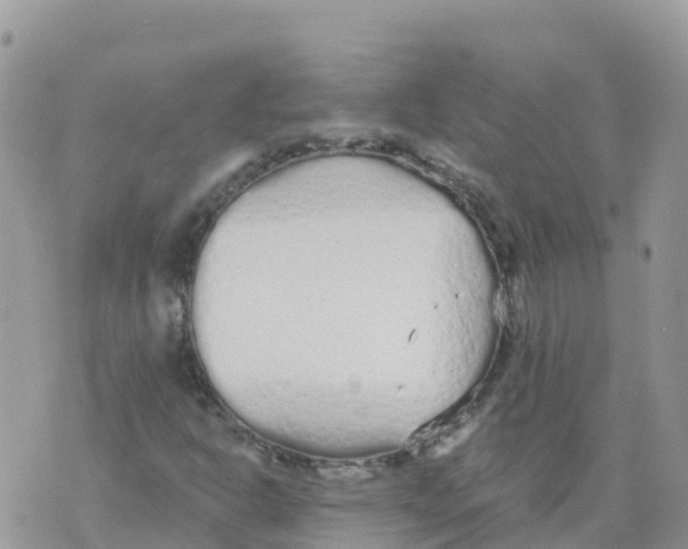 X0000073761302200608311950