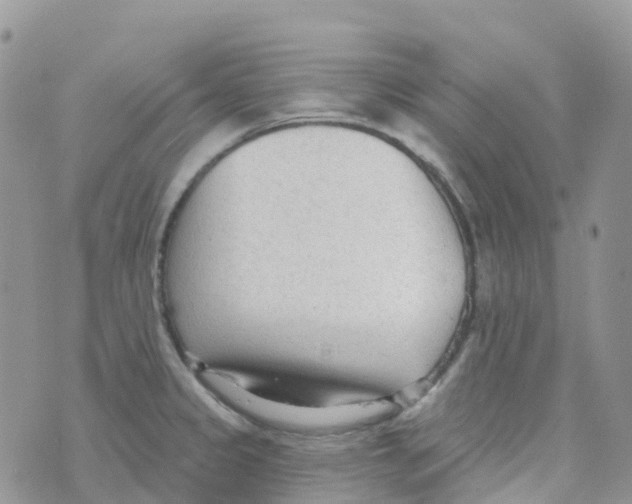 X0000073761333200608311950