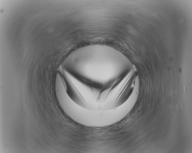 X0000073761345200608311950