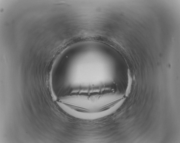 X0000073761348200608311950