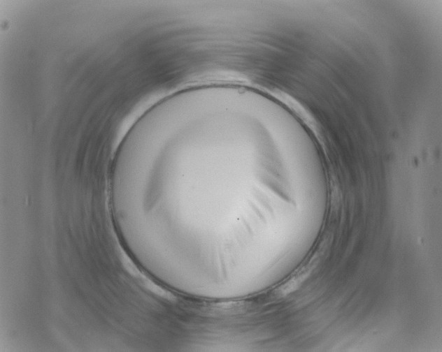 X0000073761390200608311949