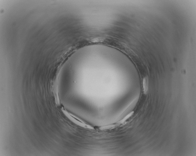 X0000073761443200608311948