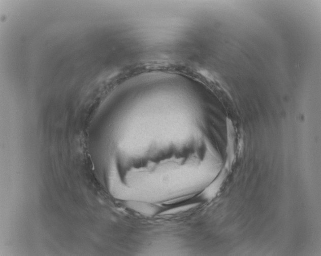 X0000073761445200608311948