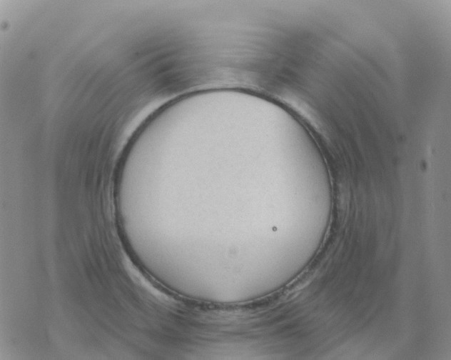 X0000073761468200608311948