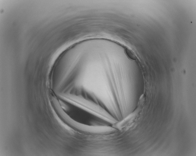 X0000073761519200608311947