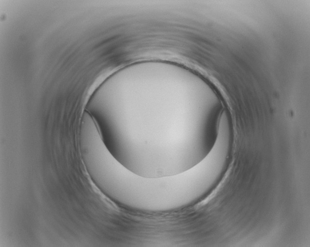 X0000073761529200608311947