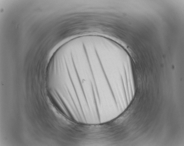 X0000073761534200608311947