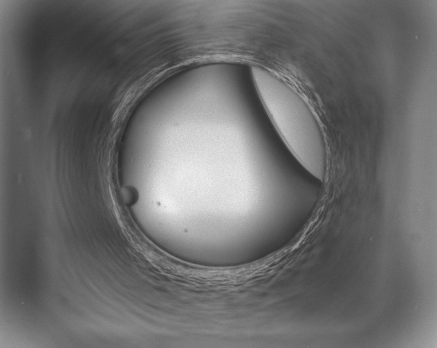 X0000073830001200608101013