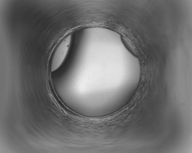 X0000073830002200608101013