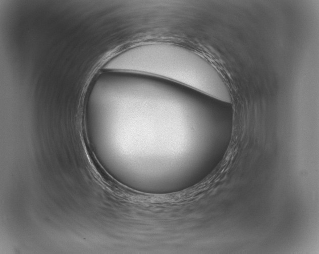 X0000073830003200608101013