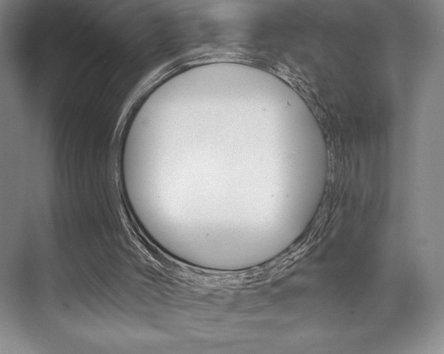 X0000073830004200608101013