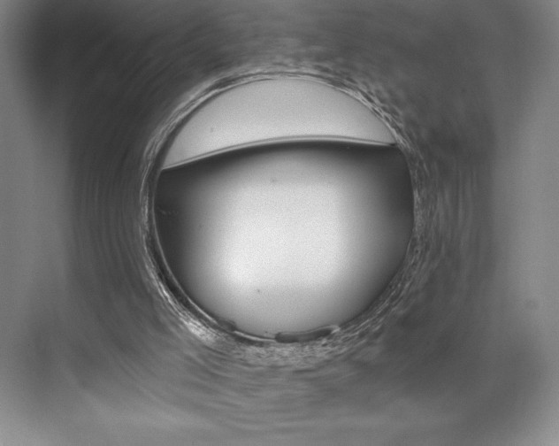 X0000073830005200608101013