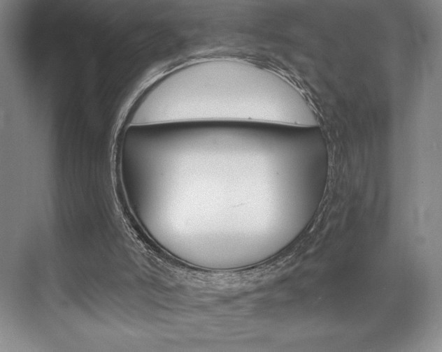 X0000073830006200608101013