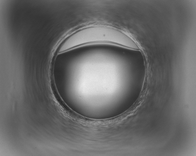 X0000073830007200608101013