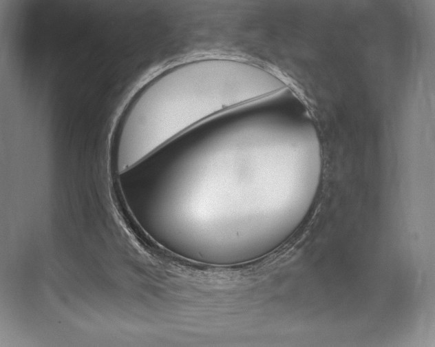 X0000073830008200608101013