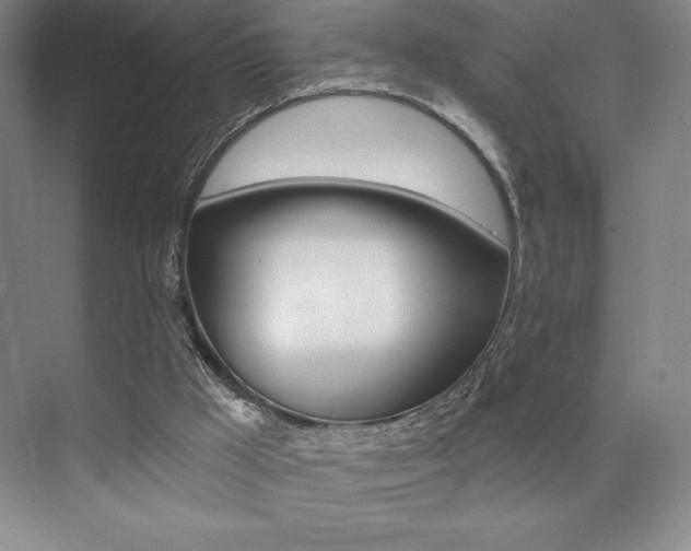 X0000073830009200608101013