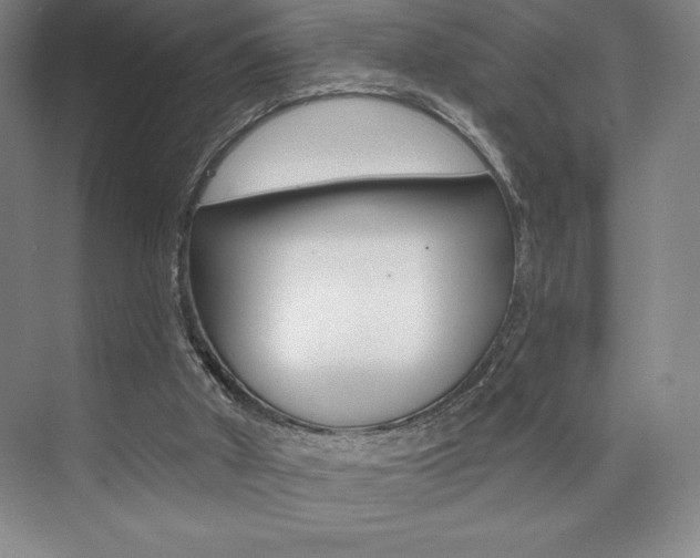 X0000073830010200608101013