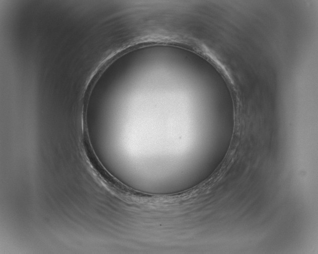 X0000073830011200608101013