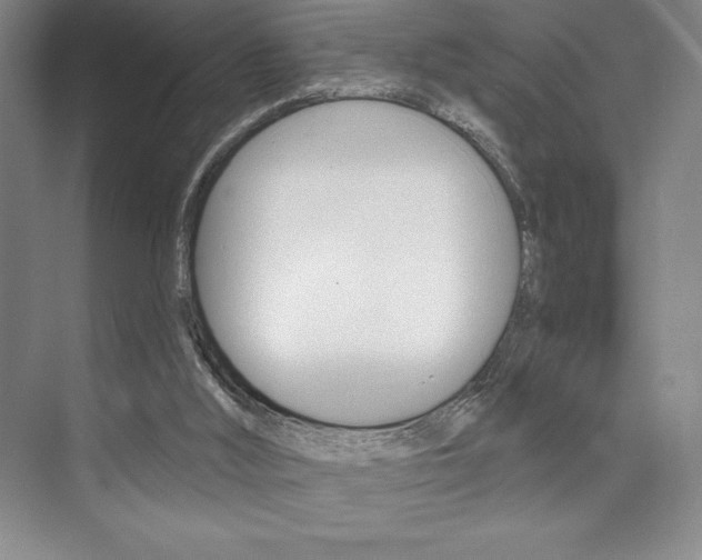 X0000073830012200608101013