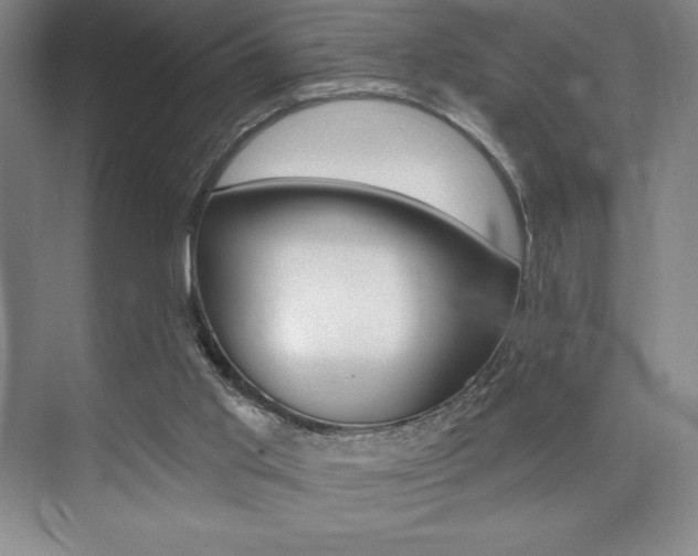 X0000073830013200608101013