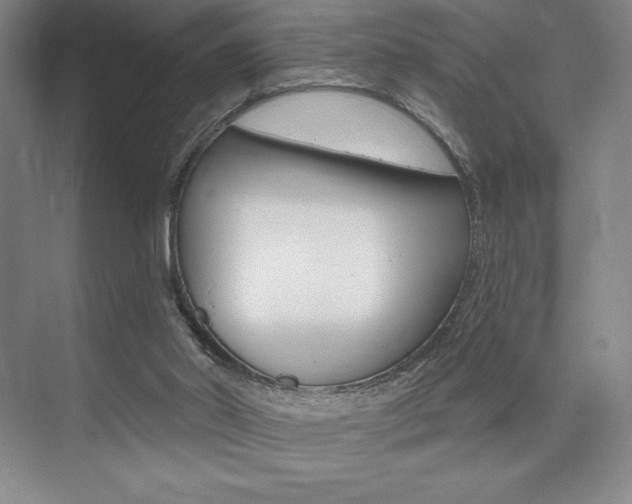 X0000073830014200608101013