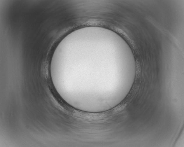 X0000073830016200608101013