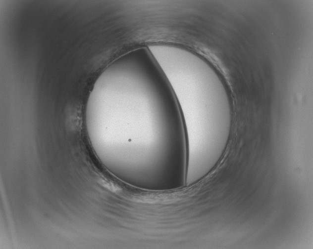 X0000073830017200608101013